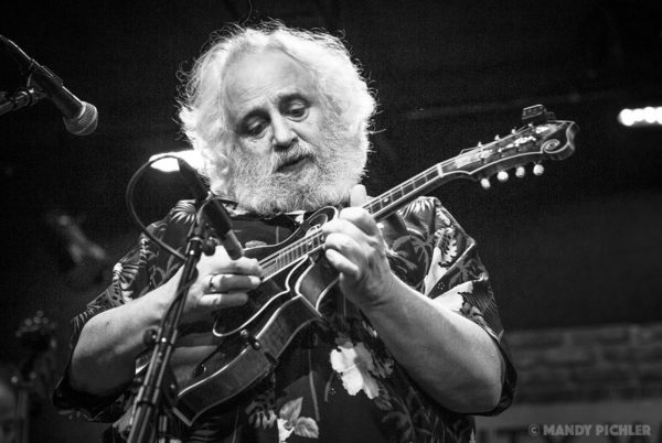 David and Tracy Grisman Concert, David Grisman