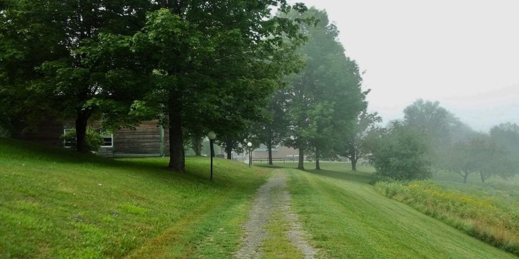 A misty morning pathway at Goddard College's Greatwood Campus