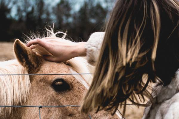 Human Animal Interaction Concentration Image